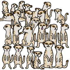 [LINEスタンプ] ミーアキャットだよ