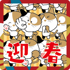 [LINEスタンプ] 三毛猫「わび助」7 あけおめスタンプ2025