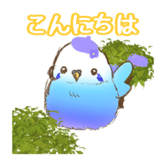 [LINEスタンプ] 紫陽花色セキセイインコのスタンプ