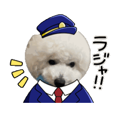 [LINEスタンプ] ビションフリーゼ くうの画像（メイン）