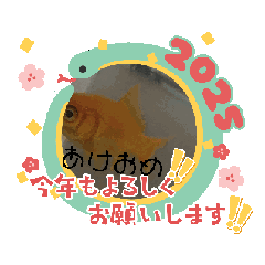 [LINEスタンプ] 新年金魚スタンプの画像（メイン）