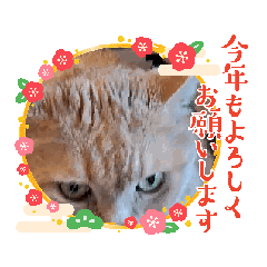 [LINEスタンプ] あけおめはるですの画像（メイン）