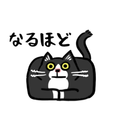 [LINEスタンプ] 家族でおはなしにゃんこたち