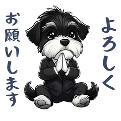 [LINEスタンプ] 敬語が使える黒いシュナウザー 日常会話