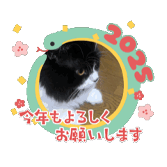 [LINEスタンプ] 動くまぐにゃん