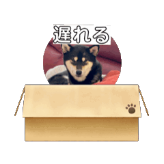 [LINEスタンプ] くろまる123の画像（メイン）