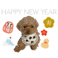[LINEスタンプ] トイプーの新年挨拶スタンプ