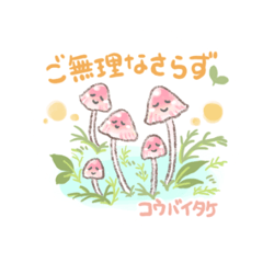 [LINEスタンプ] 丁寧で優しいキノコたち