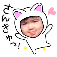 [LINEスタンプ] ねこのきぐるみ_01