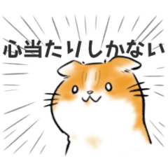 [LINEスタンプ] 一年中使えるネコスタンプ＠スコ2