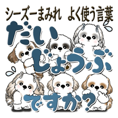 [LINEスタンプ] シーズー犬 『いつもよく使う言葉』L2024