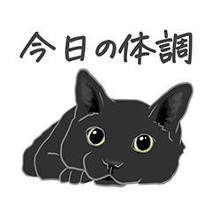 [LINEスタンプ] 黒猫＿体調を伝える編