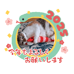 [LINEスタンプ] 動く読み聞かせさんと猫スタンプ