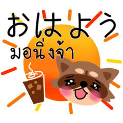 [LINEスタンプ] アライグマ タイ語-日本語