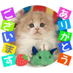 [LINEスタンプ] ねこまーち プリプリプリンセス