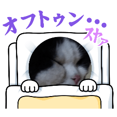 [LINEスタンプ] ペットスターンプ