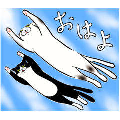 [LINEスタンプ] 猫股が来る_1