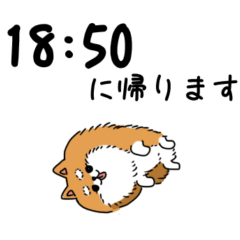 [LINEスタンプ] 帰宅時間をお知らせる犬 修正版