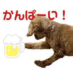 [LINEスタンプ] トイプードルのもち12