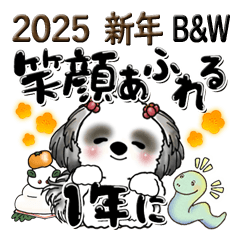 [LINEスタンプ] B＆Wシーズー犬 『新年』2025