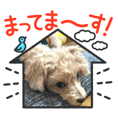 [LINEスタンプ] 愛犬わんわん丸2