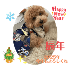 [LINEスタンプ] ピノさんwith13