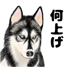 [LINEスタンプ] 株 トレードに使えるワード リアル大型犬