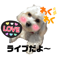 [LINEスタンプ] うめちゃんスタンプ④