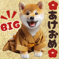 [LINEスタンプ] 【BIG】新年あけおめ♡柴犬（敬語）