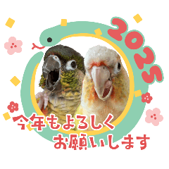 [LINEスタンプ] ウロコインコうり＆える