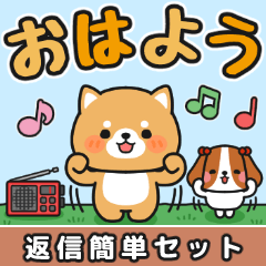 [LINEスタンプ] 返信カンタン♪即レスOK #柴犬クッキー7