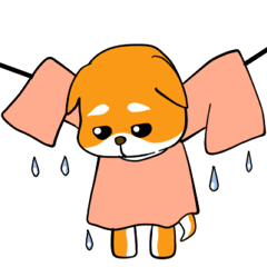 [LINEスタンプ] 柴犬が来た！