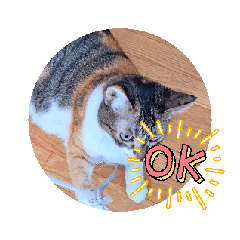 [LINEスタンプ] 動く読み聞かせさんと猫スタンプ2