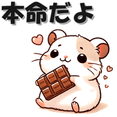 [LINEスタンプ] 毎日はむすたー バレンタイン編 ハムスター