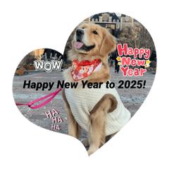 [LINEスタンプ] モイちゃんHappy New Year to 2025！