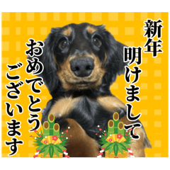 [LINEスタンプ] 私の名前はこうめです2