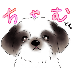 [LINEスタンプ] たむさん家のちゃむ