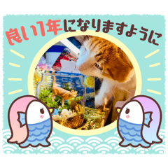 [LINEスタンプ] あけおめ⛩流星くん⭐︎おまけ