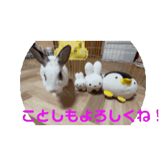 [LINEスタンプ] うさおやこ。