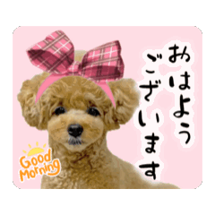 [LINEスタンプ] ペニ子☆スタンプ20241231