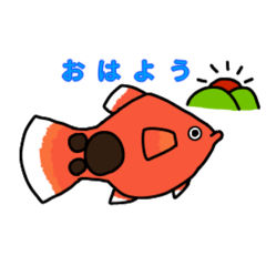 [LINEスタンプ] うちの熱帯魚 あいさつ