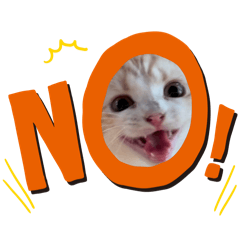 [LINEスタンプ] スコのピノちゃん