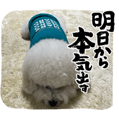 [LINEスタンプ] 我が家の福の神