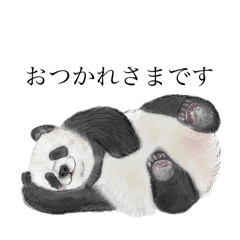 [LINEスタンプ] 絶滅危惧種の生き物スタンプ