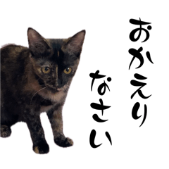 [LINEスタンプ] 麦ちゃんからねえねへ