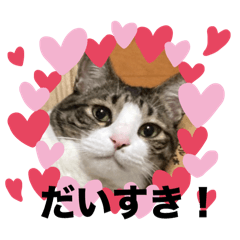 [LINEスタンプ] アイのスタンプ❤️