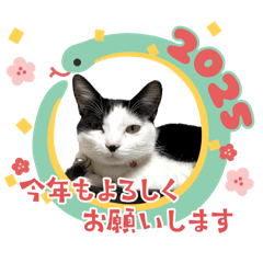 [LINEスタンプ] みい子からママへ2
