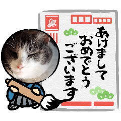 [LINEスタンプ] あーちゃん1年の行事スタンプにゃ fetchpriority=high