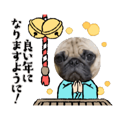 [LINEスタンプ] 動くぱぐきん2の画像（メイン）