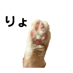 [LINEスタンプ] まぐろとほっけの猫スタンプ